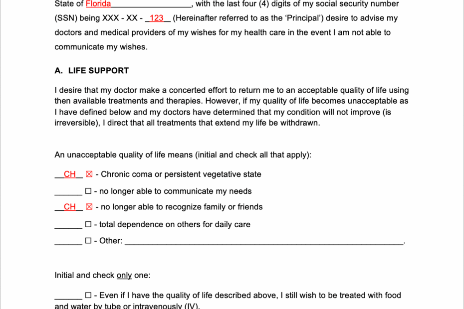 Free Living Will Forms PDF Word