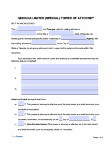 Free Printable Power Of Attorney Form Georgia Printable Forms Free Online