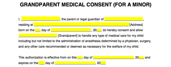 Grandparents Medical Consent Form Minor Child EForms