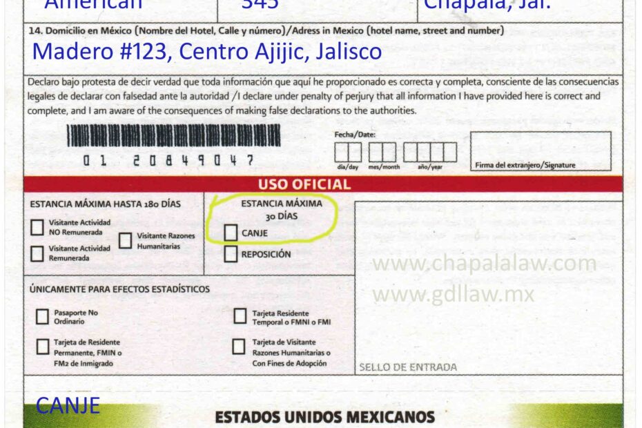 Mexico Fmm Form Printable