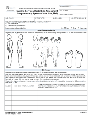 Nursing Services Basic Skin Assessment Integumentary System Fill 