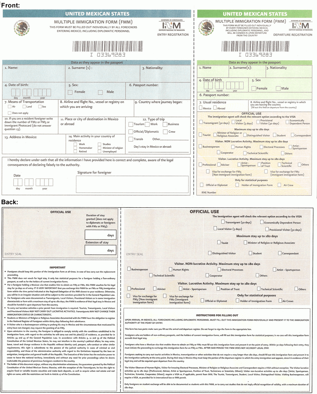 Printable Fmm Form In English