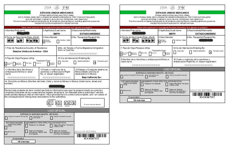 Printable Mexico Fmm Form Printable Forms Free Online