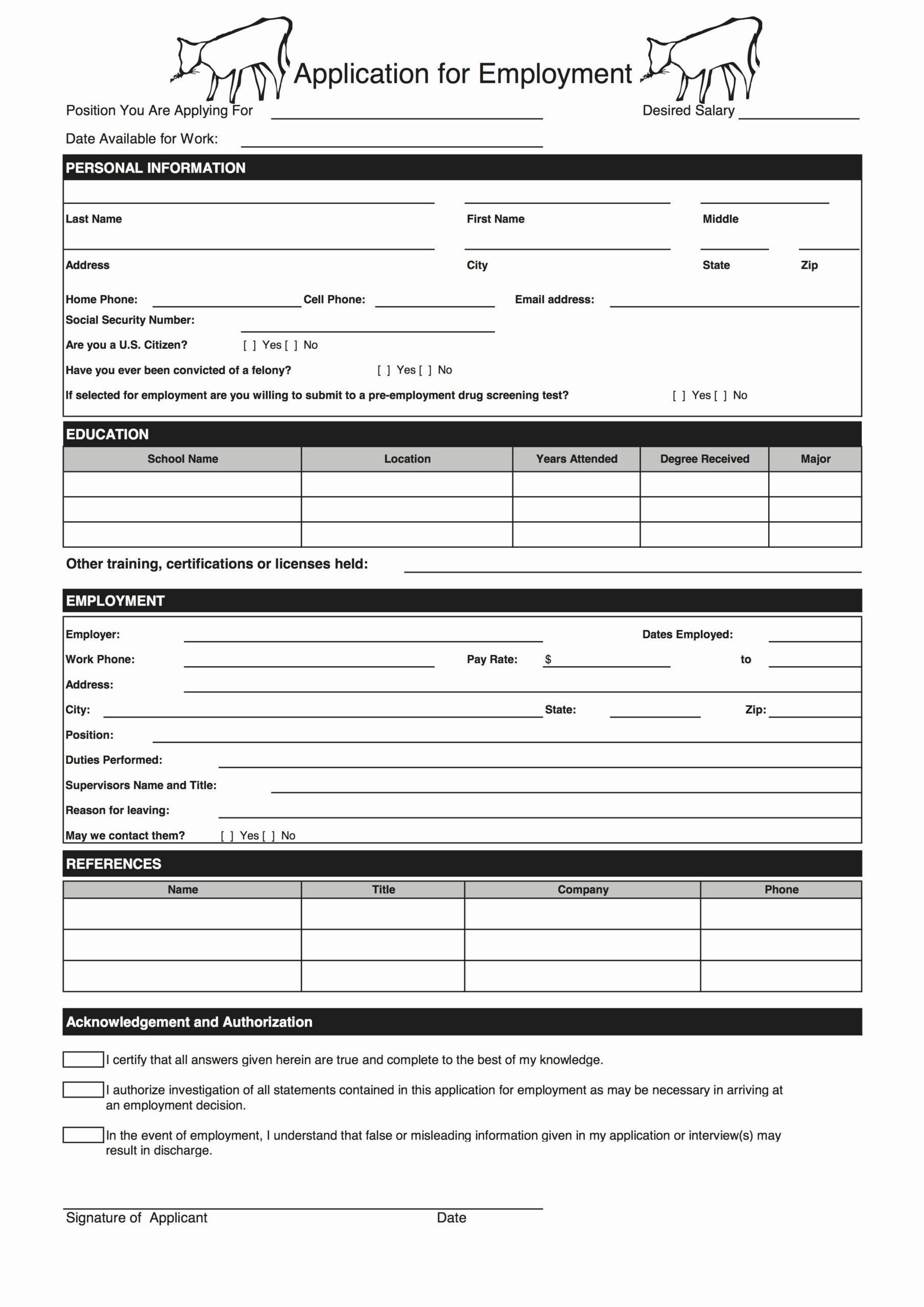 Printable Simple Job Application Form