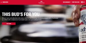 Budweiser World Wide Rebates