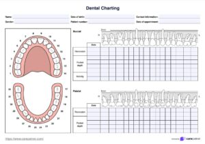 Dental Charting Template