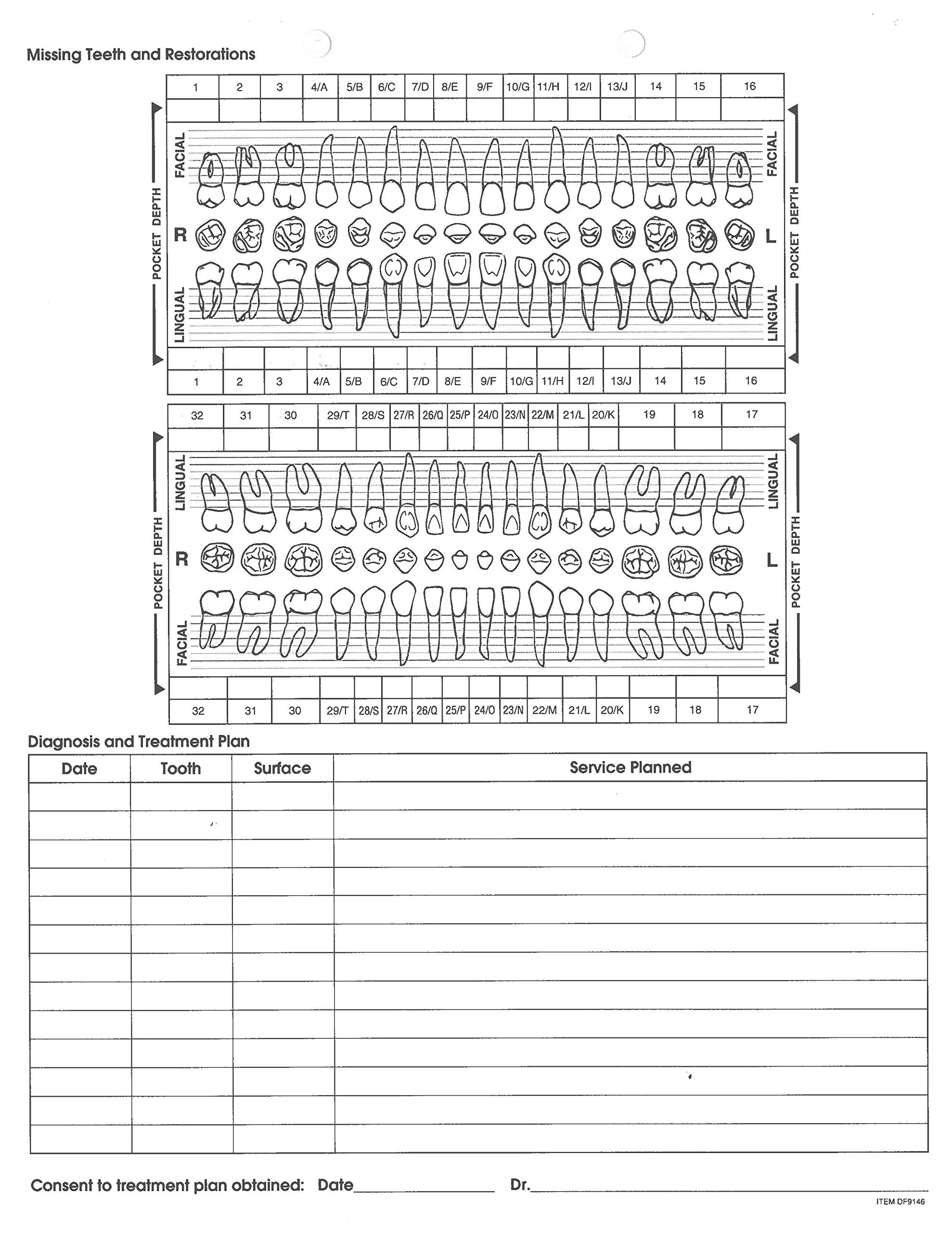 Doctor Stuff Dentist Office Forms Dental Patient Initial Clinical Examination Form DF9146 8 1 2