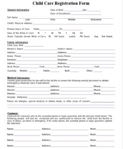 Editable Childcare Registration Form Nursery U0026 Preschool Childcare Business Registration Template WORD Document Etsy UK