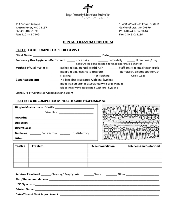FREE 10 Dental Examination Form Samples PDF MS Word Google Docs