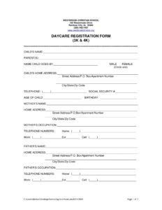 FREE 13 Daycare Registration Form Samples PDF MS Word Google Docs