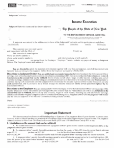 Income Execution Form New York Printable Blank PDF Online