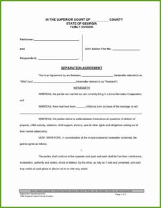 Printable Divorce Papers For Georgia Printable Party Favors