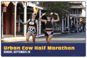 Urban Cow Half Marathon