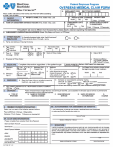 18 Printable Medical Claim Form Blue Cross Blue Shield Templates