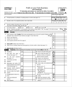 2025 Form 1040 Schedule C Patricia D Sampson