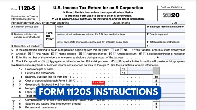 Form 1120S Instructions 2024 2025