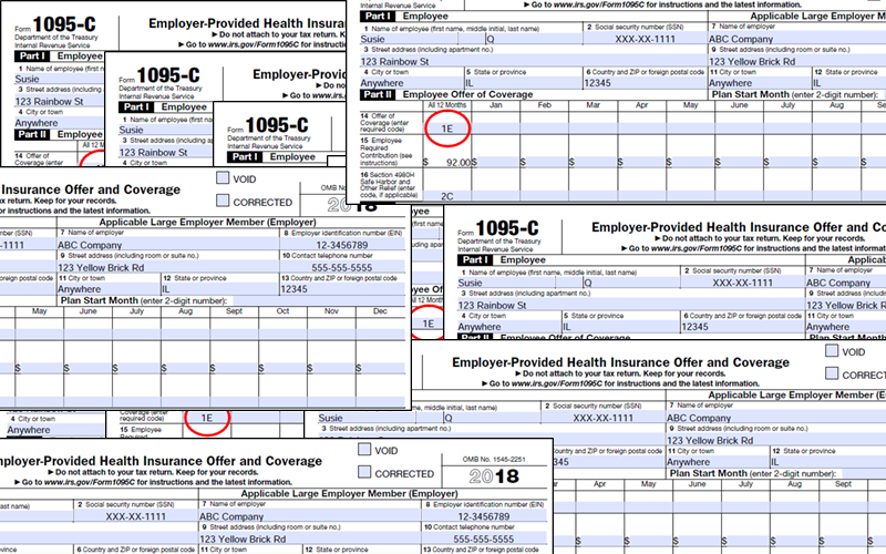 IRS Form 1095 C Codes Explained Integrity Data