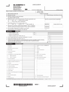 Pa 40 Form Fill Out Sign Online DocHub