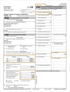 Schedule K 1 1065 Tax Form Guide LP Equity
